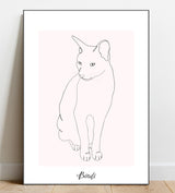 Minimalistic Illustration