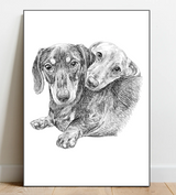 Portrait Sketch of your pet