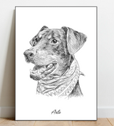 Portrait Sketch of your pet