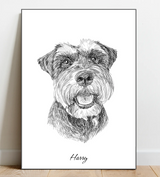 Portrait Sketch of your pet