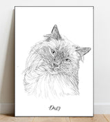 Portrait Sketch of your pet