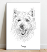 Portrait Sketch of your pet
