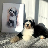 Watercolour Pet Illustration