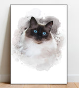 Watercolour Cat Portraits