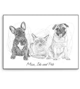 Full Body Sketch Pet Portrait