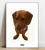 Modern Style Portrait