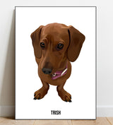 Modern Style Portrait