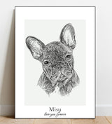 Portrait Sketch of your pet