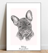 Portrait Sketch of your pet