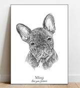 Portrait Sketch of your pet