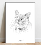 Portrait Sketch of your pet