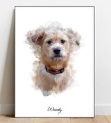 Watercolour Pet Illustration